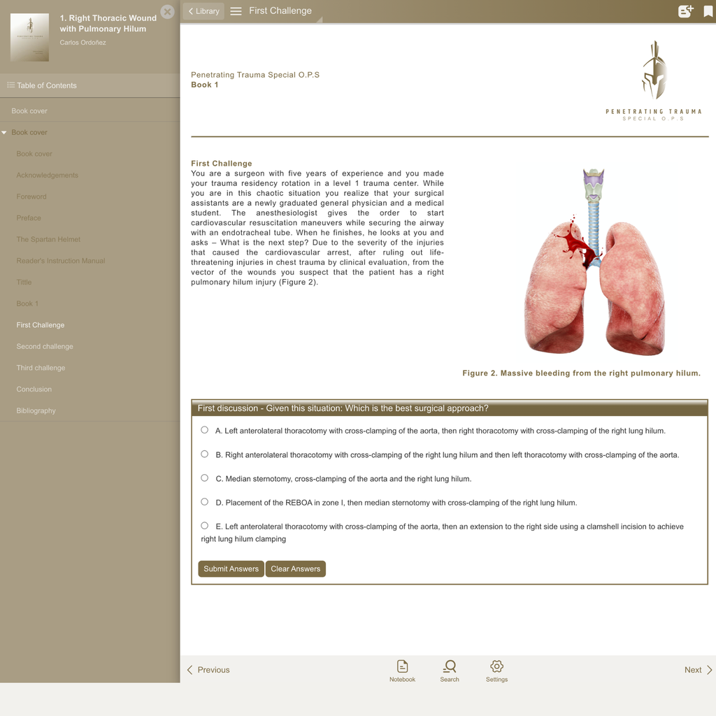 Demo Case (EN)